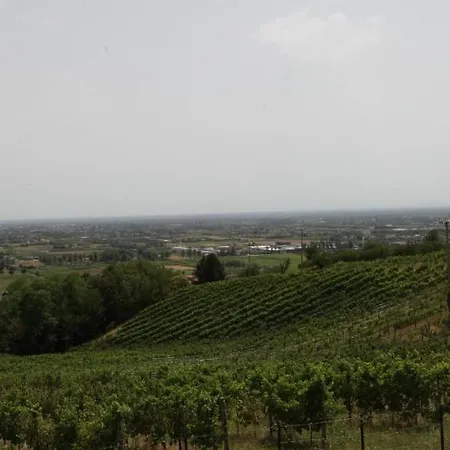 Terrazza San Vettore Con Colazione, Relax In Collina Con Vista Sui Vigneti Docg Asolo Maser