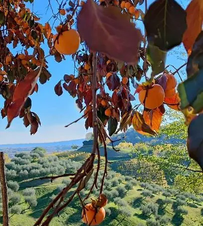 Guest house Terrazza San Vettore Con Colazione, Relax In Collina Con Vista Sui Vigneti Docg Asolo Maser